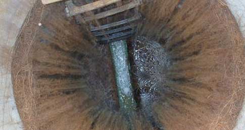 Before Treatment